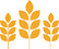 Gluten &sol; Wheat